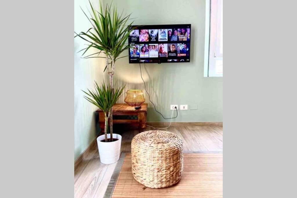 Mascagni 18: Lovely And Central Apartment بيزا المظهر الخارجي الصورة
